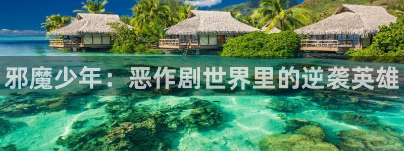 给我康康你的熊韩漫画免费
