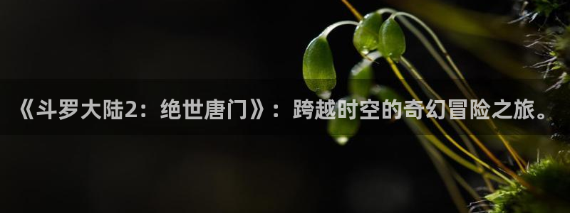 日漫韩漫免费大全在线观看下拉式漫画：《斗罗大陆2：绝世唐门》：跨越时空的奇幻冒险之旅。