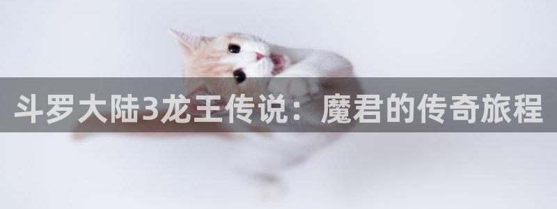 韩漫漫画在哪看：斗罗大陆3龙王传说：魔君的传奇旅程
