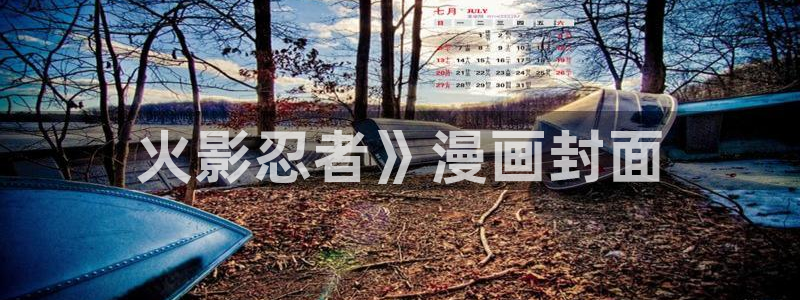 禁18韩漫网站：火影忍者》漫画封面