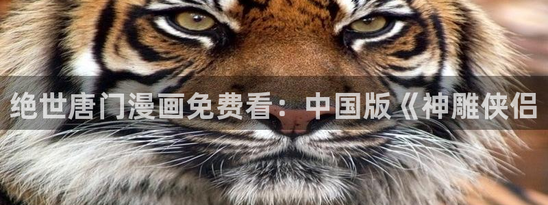 能看的韩漫网站：绝世唐门漫画免费看：中国版《神雕侠侣