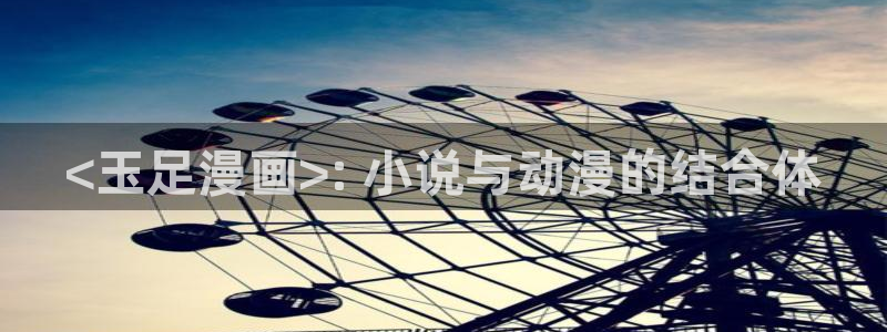 土豪漫画韩漫画：<玉足漫画>: 小说与动漫的结合体