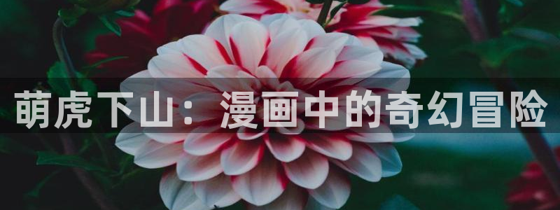 韩漫无遮挡免费漫画网站