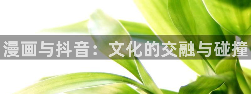 韩漫画免费大全：漫画与抖音：文化的交融与碰撞